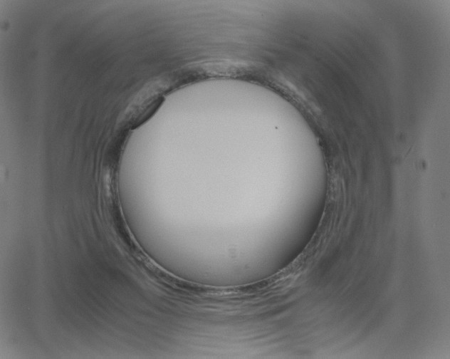 X0000063460117200601200940