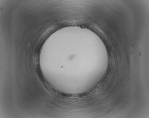 X0000063460119200601200940