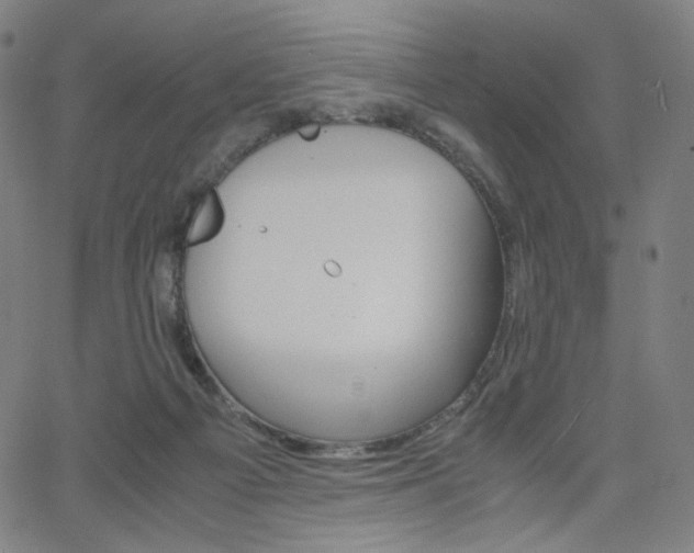 X0000063460121200601200940