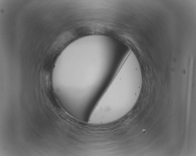 X0000063460123200601200940