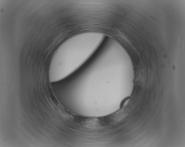 X0000063460124200601200940