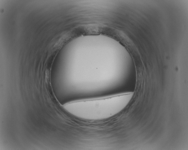 X0000063460125200601200940