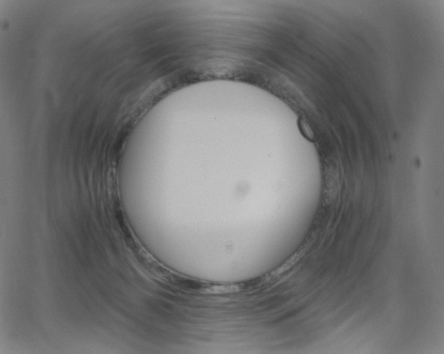 X0000063460126200601200940