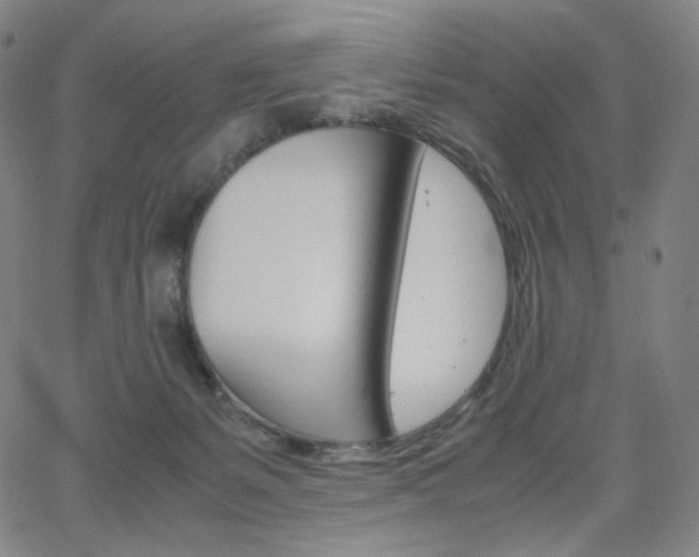 X0000063460127200601200940