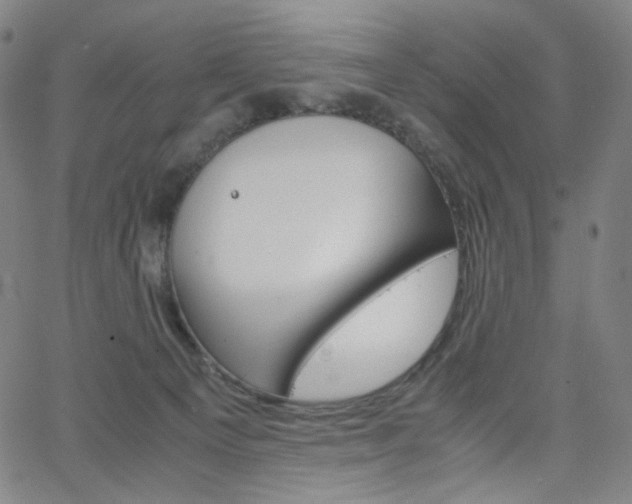 X0000063460129200601200940