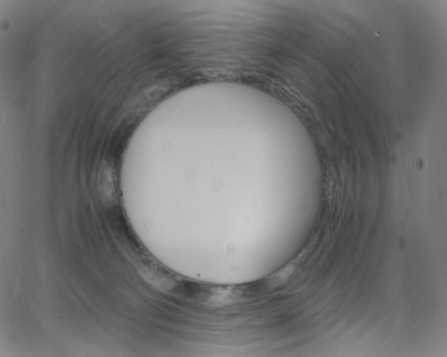 X0000063460130200601200940