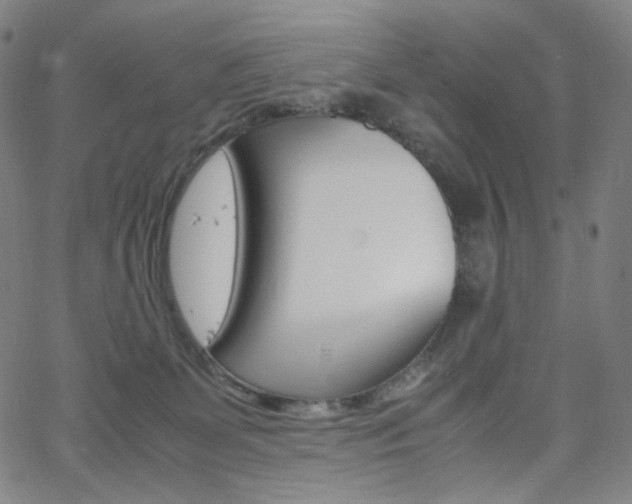 X0000063460131200601200939