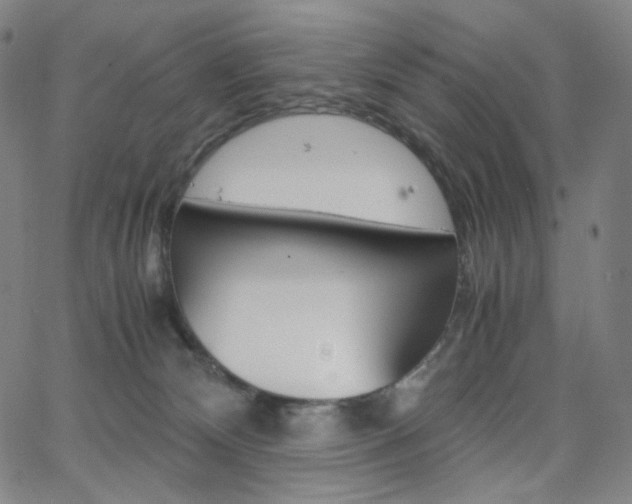 X0000063460132200601200939