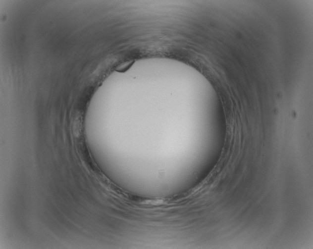 X0000063460133200601200939