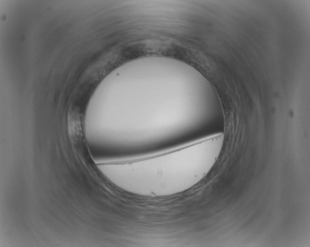 X0000063460137200601200939