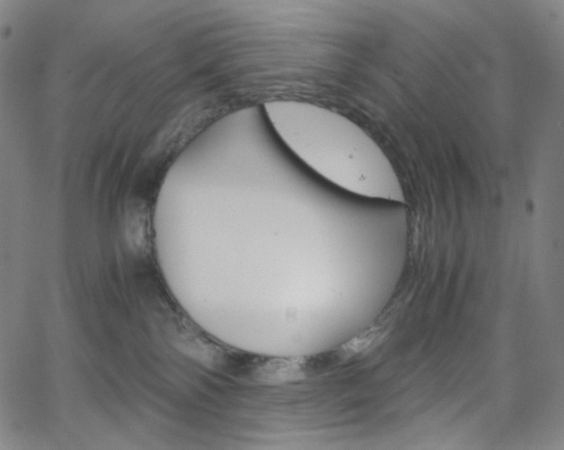 X0000063460138200601200939