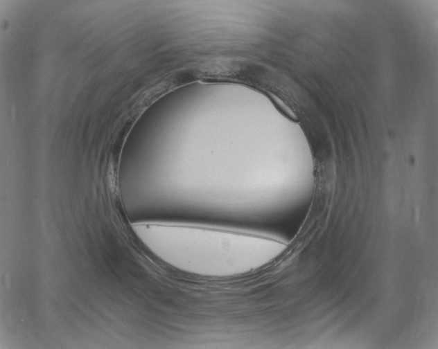 X0000063460143200601200939