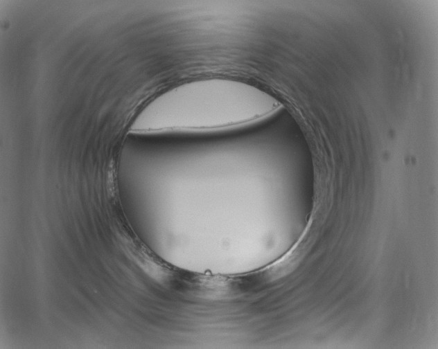 X0000063460144200601200939