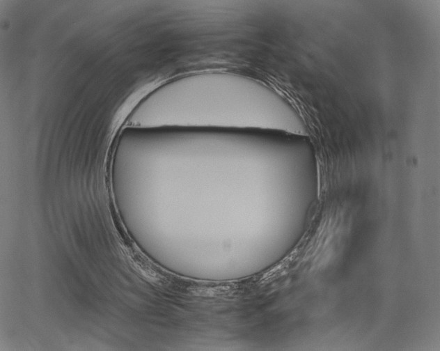 X0000063460147200601200939