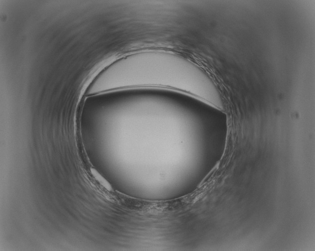 X0000063460148200601200939