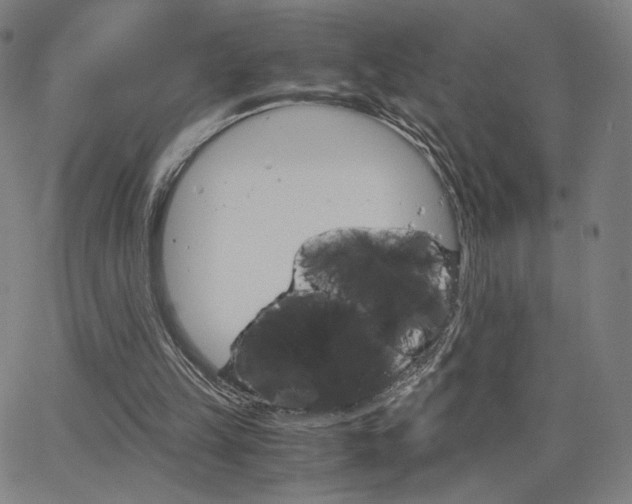 X0000063460149200601200939