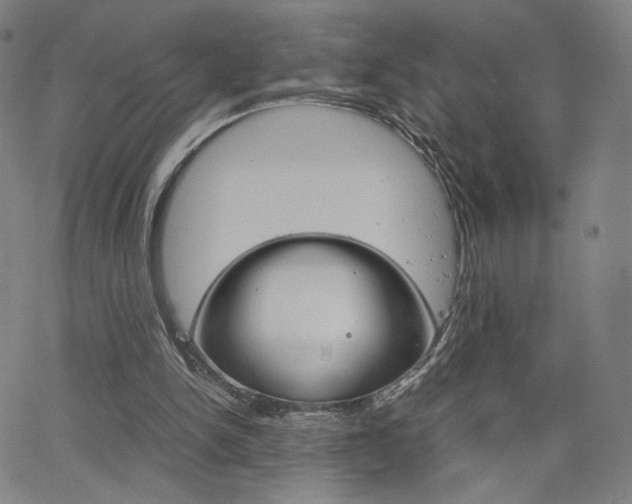 X0000063460150200601200939