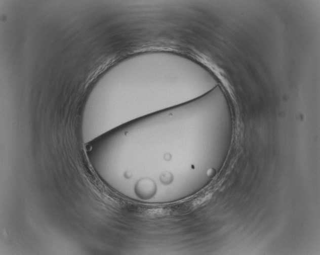 X0000063460153200601200939