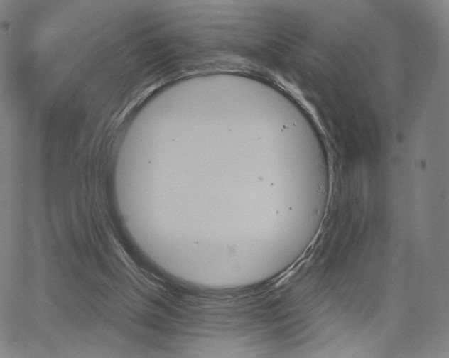 X0000063460154200601200939