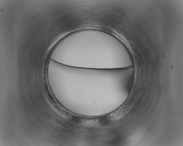 X0000063460155200601200939