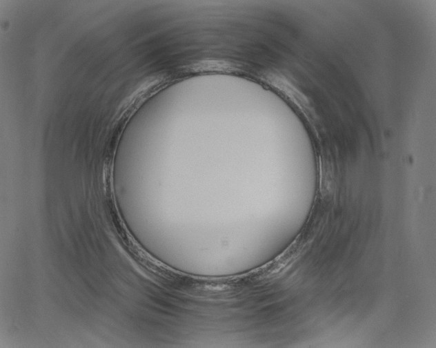 X0000063460157200601200939