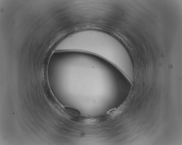 X0000063460158200601200939