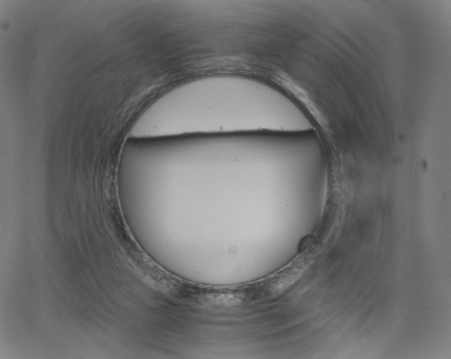 X0000063460161200601200939