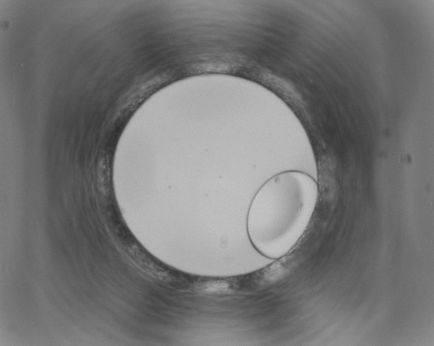 X0000063460162200601200939