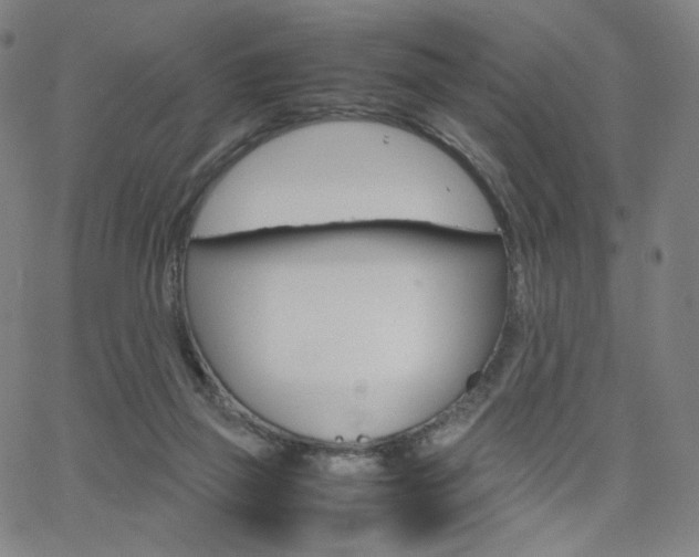 X0000063460165200601200939