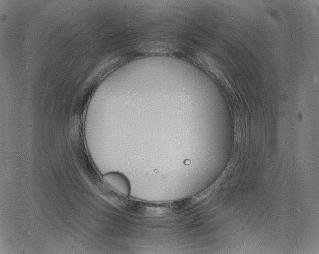 X0000063460167200601200939