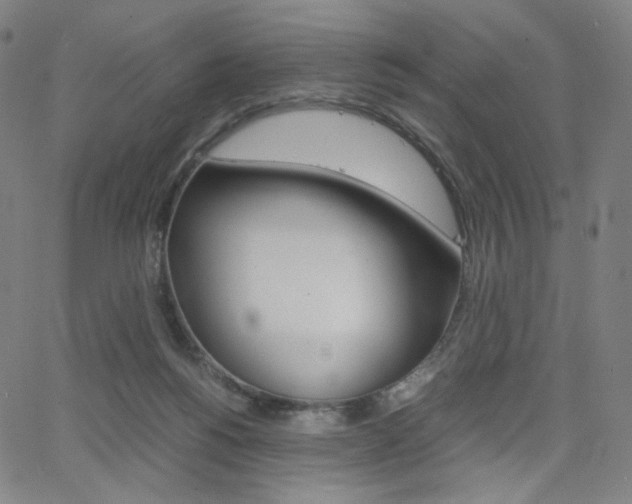 X0000063460168200601200939