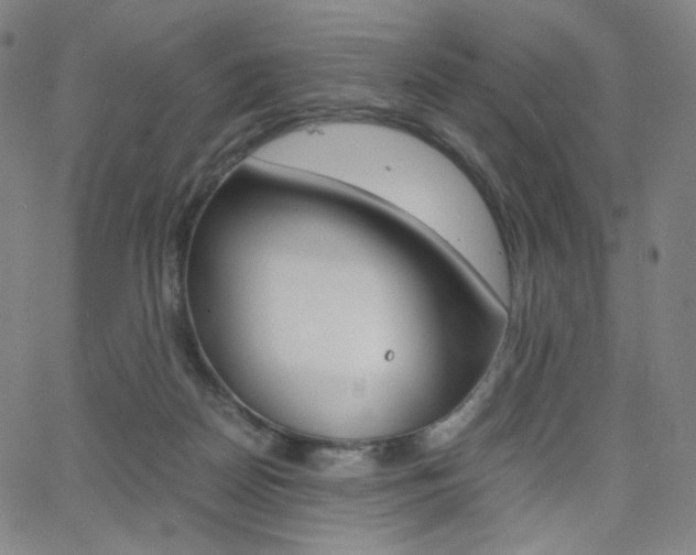 X0000063460170200601200939