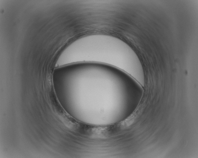 X0000063460172200601200939