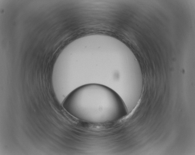 X0000063460174200601200939