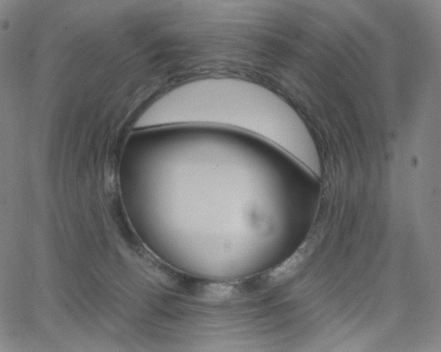 X0000063460176200601200939