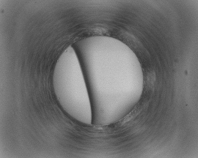 X0000063460177200601200939