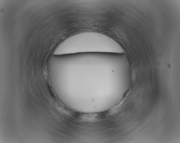 X0000063460179200601200939