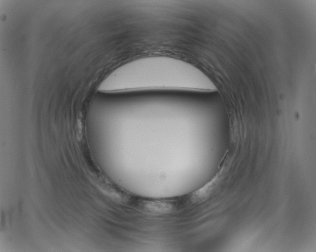 X0000063460183200601200939