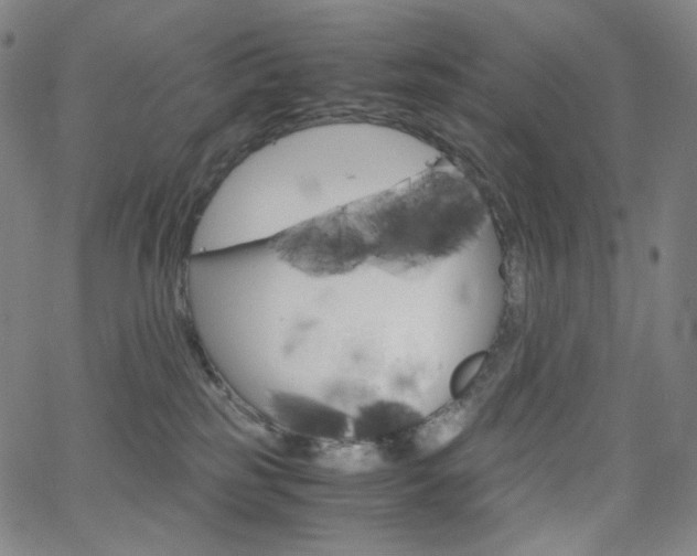 X0000063460185200601200939