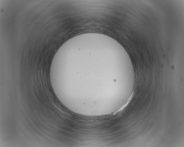 X0000063460186200601200939