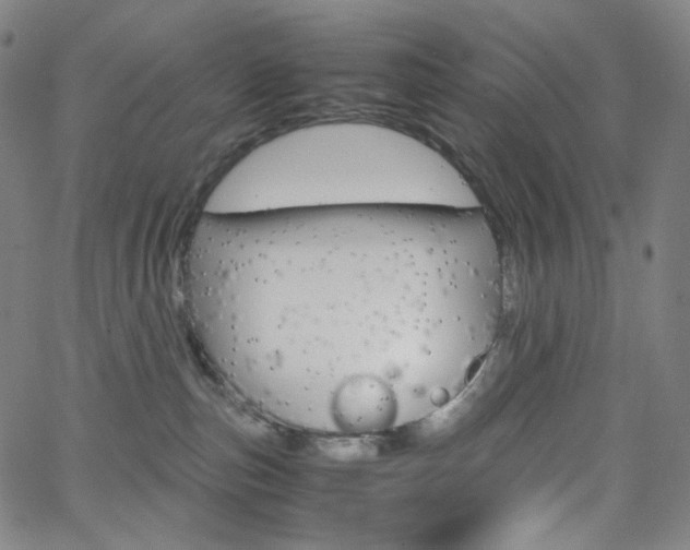 X0000063460187200601200939