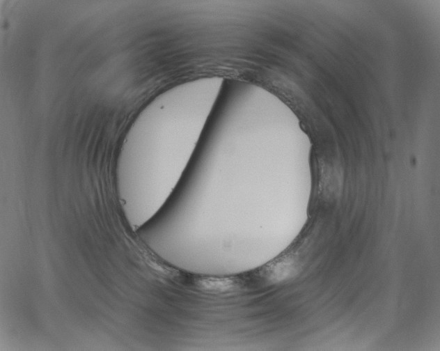 X0000063460189200601200939