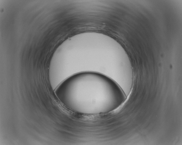 X0000063460190200601200939