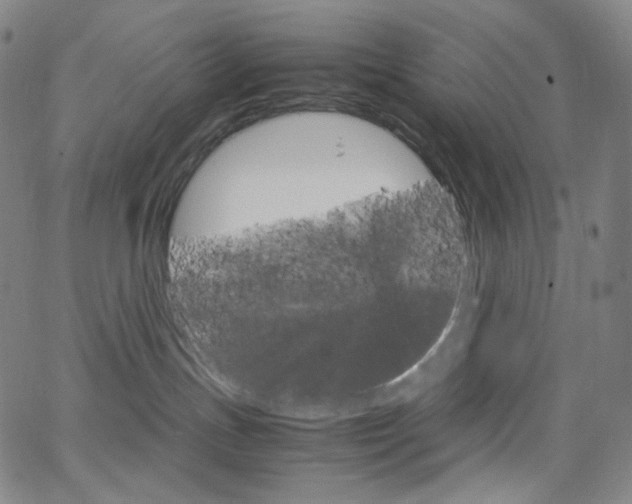 X0000063460191200601200939