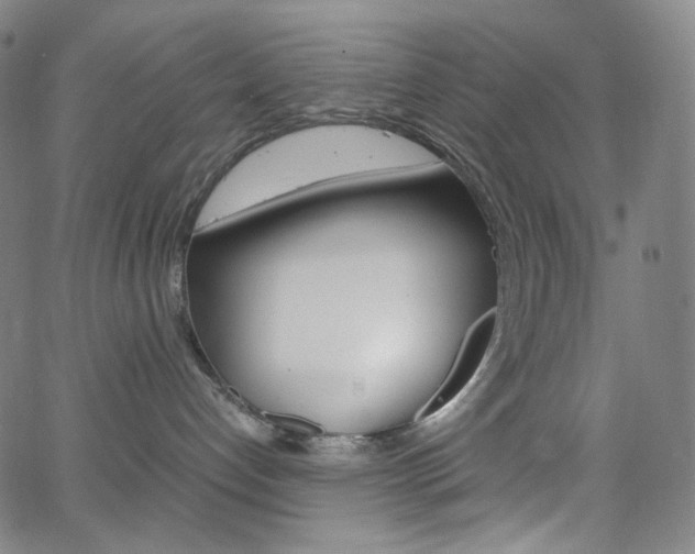 X0000063460192200601200939