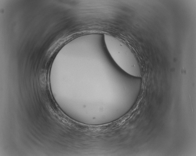X0000063460194200601200938