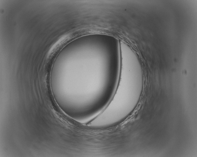 X0000063460197200601200938