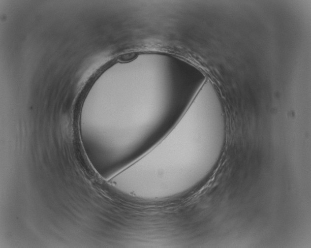 X0000063460200200601200938
