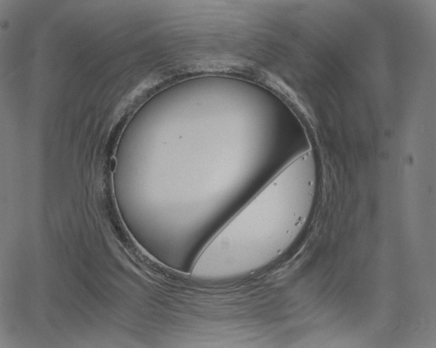 X0000063460203200601200938