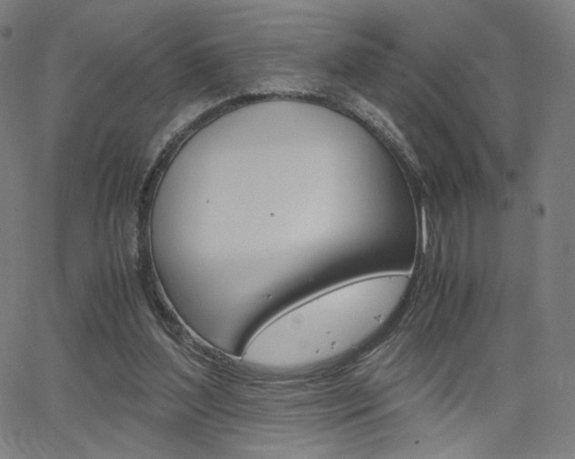 X0000063460204200601200938